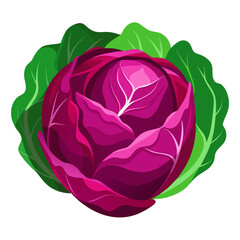 Obraz premium Vibrant red cabbage with fresh green leaves, a healthy culinary ingredient for salads and nutritious meals, perfect for vegetarian and vegan cuisine projects, eye-catching and delicious