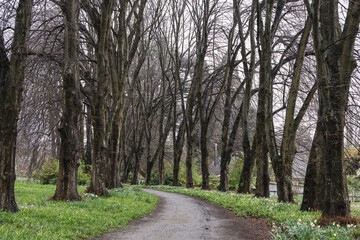 Naklejka premium wanaka garden landscapes