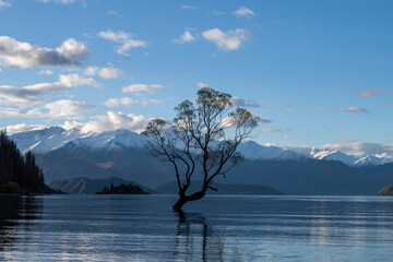wanaka landscapes