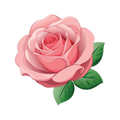 Single pink rose flower with green leaf isolated on white background