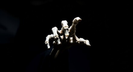 Skeleton hand reaching out of darkness. Horror and Halloween concept. Spooky bone hand grabbing at viewer for fear and death.