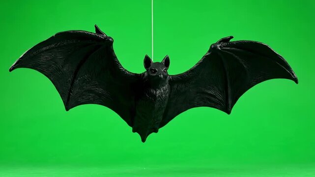A prop bat with spread wings, flying in slow motion, isolated against a solid green background slow motion, animal prop, special effects