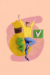 Poster pop collage of person stand jump on pastel background with dollars bag checkmark