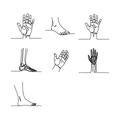 Illustration depicting various anatomical views of the hand and leg. Three hand illustrations include a detailed palm