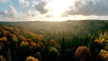 Panoramic autumn forest with vibrant orange, red, and gold trees, sun breaking through clouds over rolling hills. Concept Autumn Forest Panorama, Vibrant Fall Colors, Sunlight Through Clouds