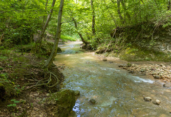 Obraz premium the source of the mountain river in the summer, walking along the rocky shore