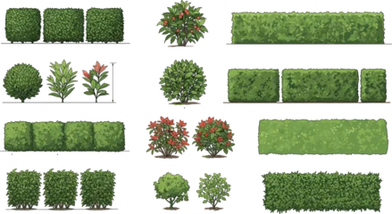 Selbstklebende Fototapeten Pistazie Realistic green bushes and hedges collection illustration, landscape garden shrub vector set for architectural design, park, and outdoor decoration elements  © Afsana Creatives