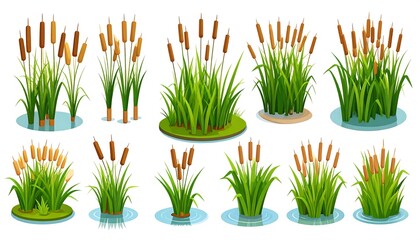 A collection of stylized cattail plants, each with brown heads atop green stalks and leaves, resting in water or on small islands