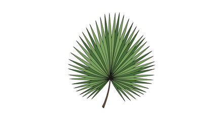 Obraz premium Elegant vector illustration of a sun palm leaf against a crisp white background, providing a