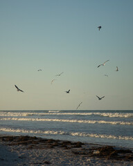 Gulf of Mexico beach in El Cuyo, a fishing village on Mexico's Yucatan Peninsula.