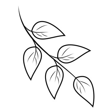 Leaves outline element in boho style