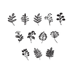 Botanical Illustration Collection featuring Hand Drawn Leaves and Berries for Graphic Design and Nature Inspired Art Projects vector