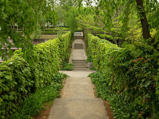 Obraz premium Stairs in the center of the park