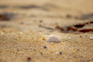 Waves painting poetry on the shore.