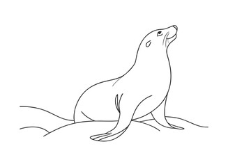 Black outline drawing of a sea lion in an alert, upward-gazing pose, showcasing its sleek form.