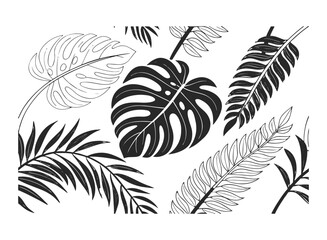Black and white hand-drawn tropical leaves, Monstera, palm, fern, exotic foliage