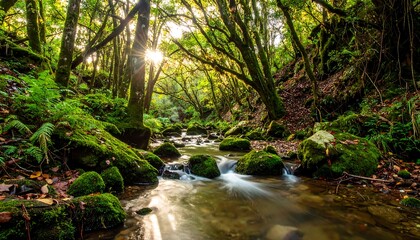 A flowing stream winds through a vibrant forest, illuminated by sunlight filtering through the canopy, with moss-covered rocks