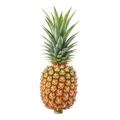 Fototapeta premium A single fresh whole ripe pineapple with a leafy green crown standing upright, isolated on a clean white background studio shot