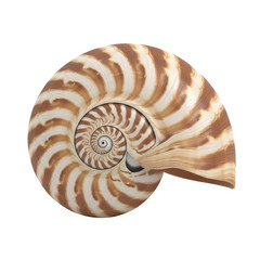 A realistic snail with a spiral shell is displayed on a plain surface
