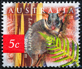 AUSTRALIA-CIRCA 1996:post stamp printed in Australia shows Leadbeater&rsquo;s possum (Gymnobelideus leadbeateri); Scott 1524 5c; circa 1996.Philately.World stamp collection.