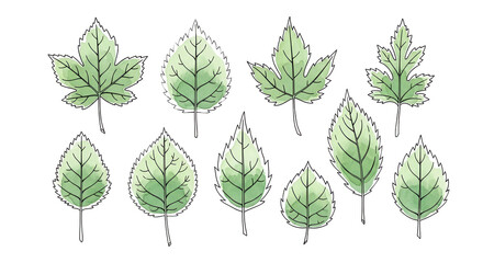 Fototapeta premium Assortment of vibrant green watercolor leaves, hand-sketched with subtle textures, depicting diverse botanical forms for nature-inspired design elements