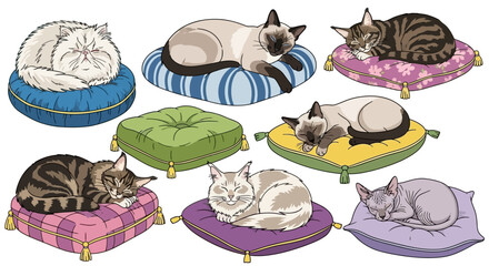 An illustration featuring multiple domestic cats of various breeds and colors, peacefully sleeping or resting on colorful, decorative cushions.