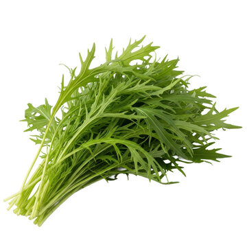 A fresh bundle of vibrant green mizuna greens, artfully arranged on a clean white background, highlighting their delicate, feathery leaves