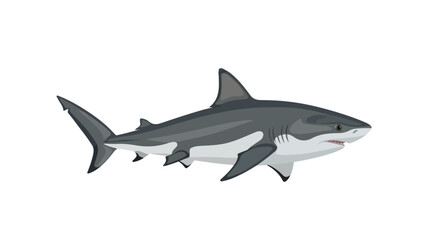 Obraz premium Illustration of a sleek grey shark swimming, isolated against a bright white background, vector art style depicts marine life with a modern aesthetic