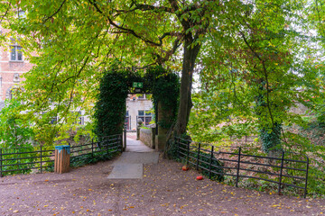 Fototapete bei efototapeten.de bestellen   