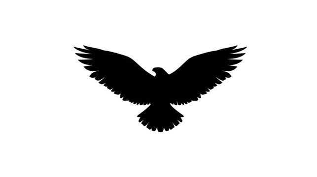 Powerful flying bird silhouette against white background, majestic avian symbol of freedom, strength, and soaring flight