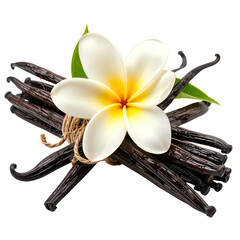 Vanilla pods bound with twine, topped with a white and yellow tropical flower and leaves