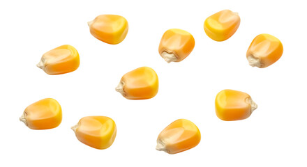 Scattered corn kernels on a black background close up isolated