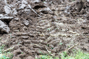 Tire tracks on churned soil with plant debris