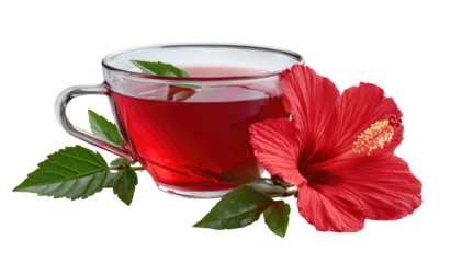 A translucent glass cup of red herbal tea beside a vibrant, crimson hibiscus flower