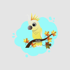 white crested parrot .parrot ...