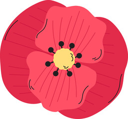 Vibrant Red Poppy Flower with Yellow Center and Black Stamens Isolated on Transparent Background Symbolizing Remembrance and Beauty
