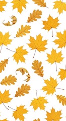 Obraz premium Autumnal Array - A Vibrant Display of Maple and Oak Leaves.