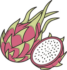 Dragon Fruit Illustration – Hand Drawn Tropical Pitaya Vector Art