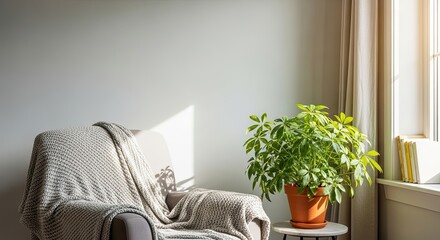 Cozy armchair with plant and sunlight in a calm living room