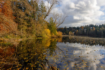 Fall or Autumn foliage at Deer Lake, Burnaby BC travel and tourism