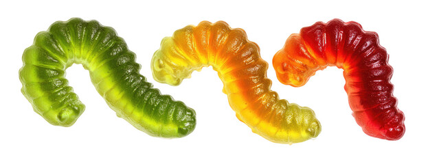Three translucent gelatinous worms, gradient colors of green, orange, and red, curving against black backdrop