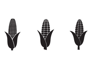Three Corn on the Cob Black Silhouettes Isolated on White Background Vector Illustration Food and Agriculture Concept