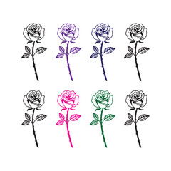 Set of roses vector