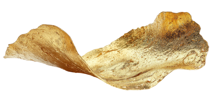 Close-up of a delicate, winged seed with subtle textures, isolated against black