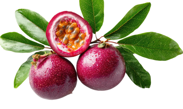 Close-up shot of passion fruits, one sliced to reveal seeds, with green leaves