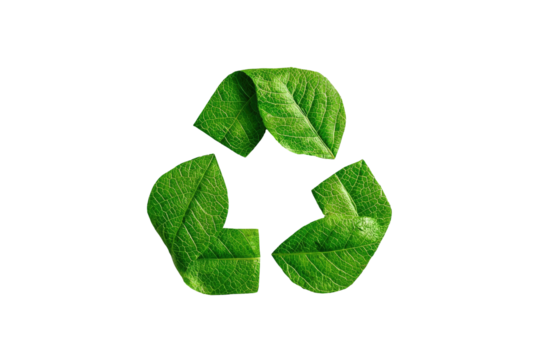 Green leaves form the globally recognized symbol of reuse on a black background