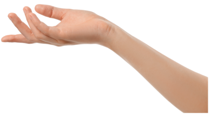 Diverse Hands and Organic Produce , Health and Success Gesture Collection , Natural Food and Body Language ,

