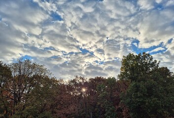 Sinemorets_Bulgaria, Butamyata beach, sunny day on wild coast of the Black Sea.