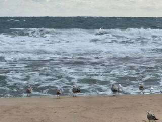Sinemorets_Bulgaria, Butamyata beach, sunny day on wild coast of the Black Sea.
