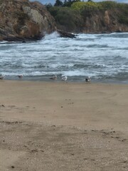 Sinemorets_Bulgaria, Butamyata beach, sunny day on wild coast of the Black Sea.